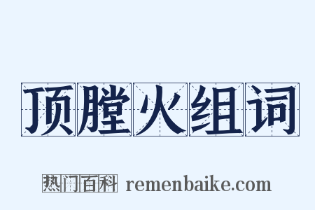 顶膛火组词是什么意思的图片